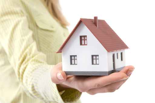Chuyển nhượng quyền sử dụng đất 